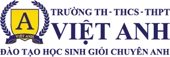 Trường Việt Anh